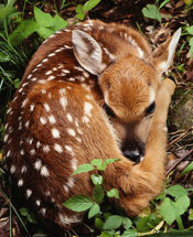 Muir Woods National Monument Entrace