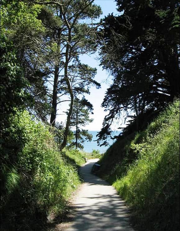 Pictures of Hiking trail in New Brighton State Beach in Santa Cruz, California