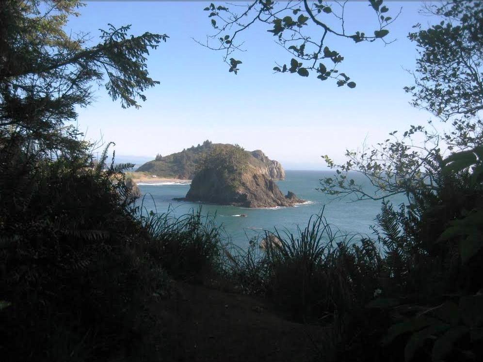 Pictures of Hiking trail in Trinidad State Beach in Trinidad, California