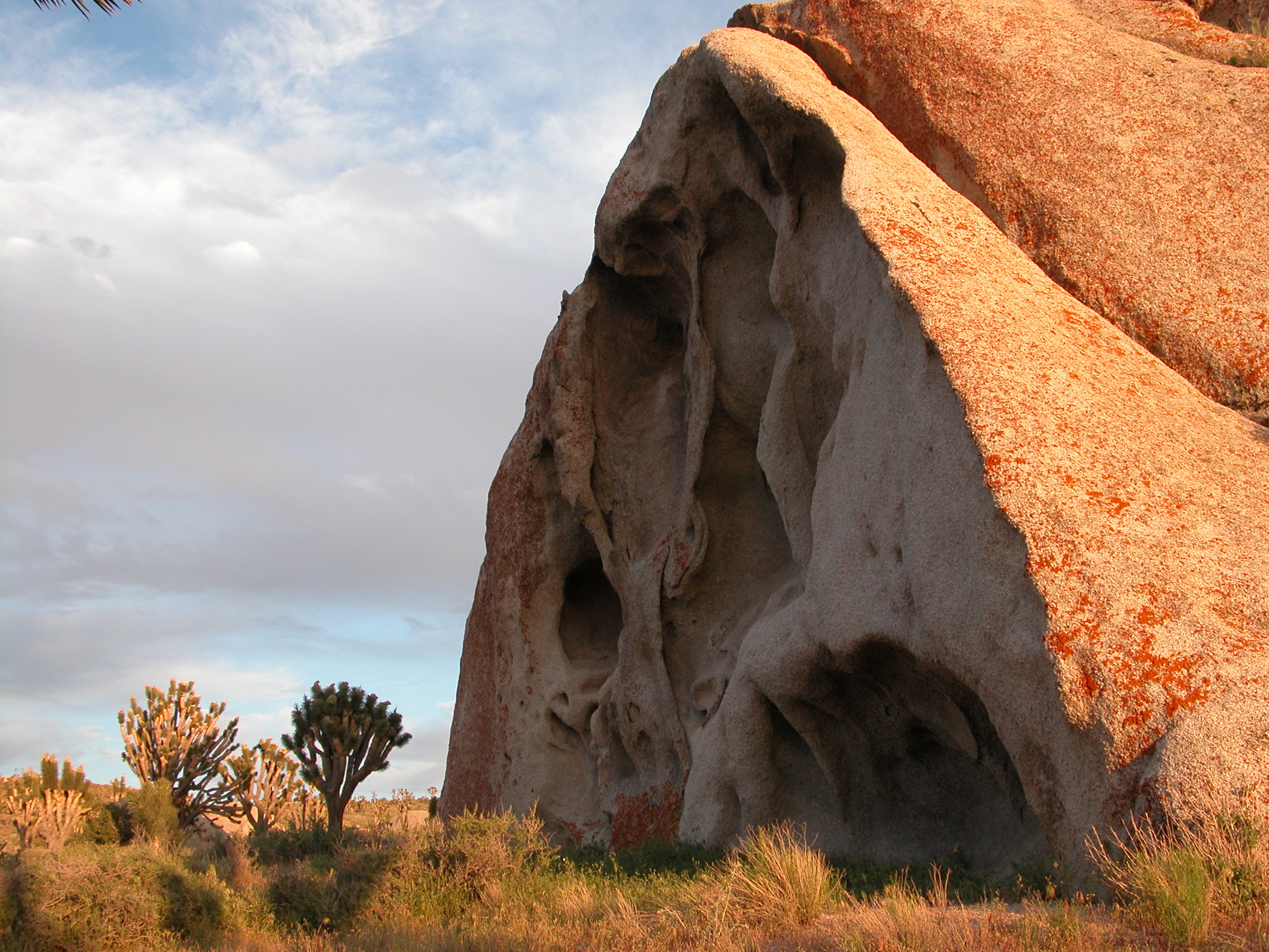 Mojave National Preserve Boulder and Joshua trees on Cima Dome