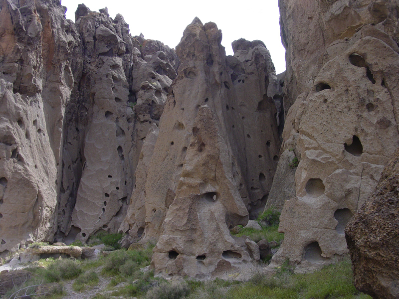 Muir Woods National Trails