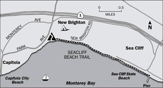 New Brighton State Beach in Santa Cruz, California