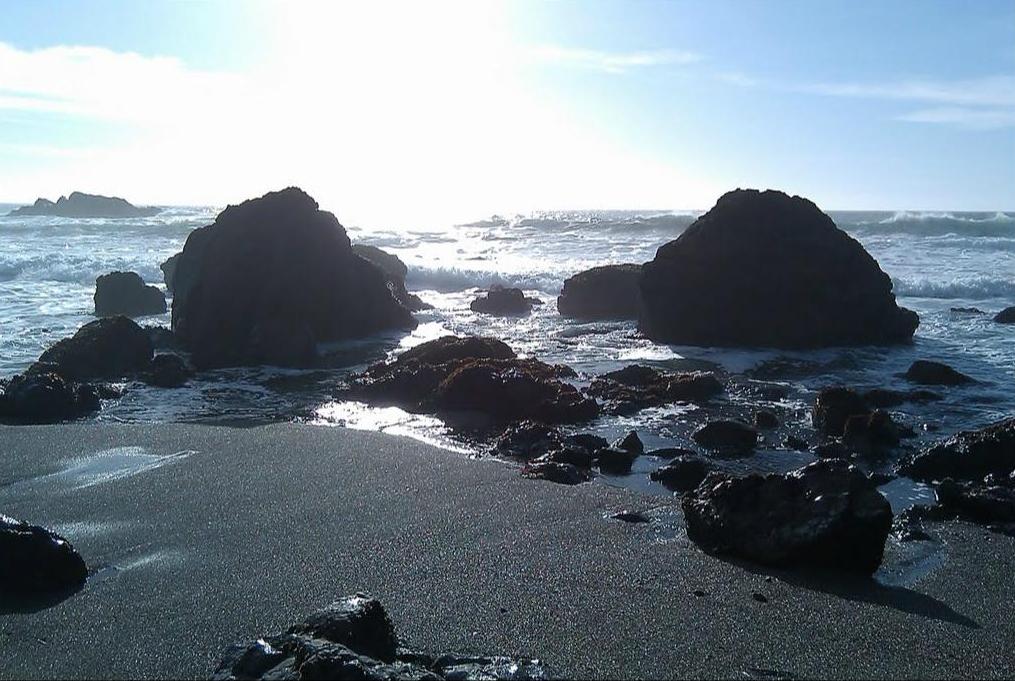 Photos of Portuguese Beach in Sonoma Coast State Beach in Jenner, California