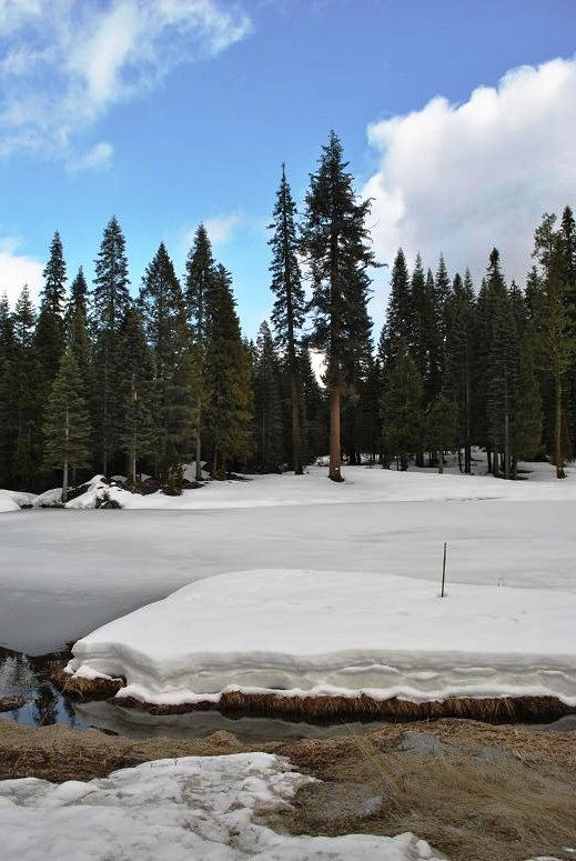 Yosemite National Park Creek in Winter