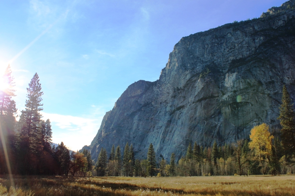 Walk in Yosemite Valley