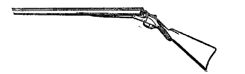 A double barrelled hammerless shot-gun