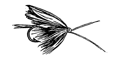 An artificial fly; used for salmon