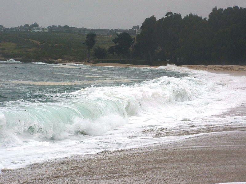 Carmel State Beach Carmel, California