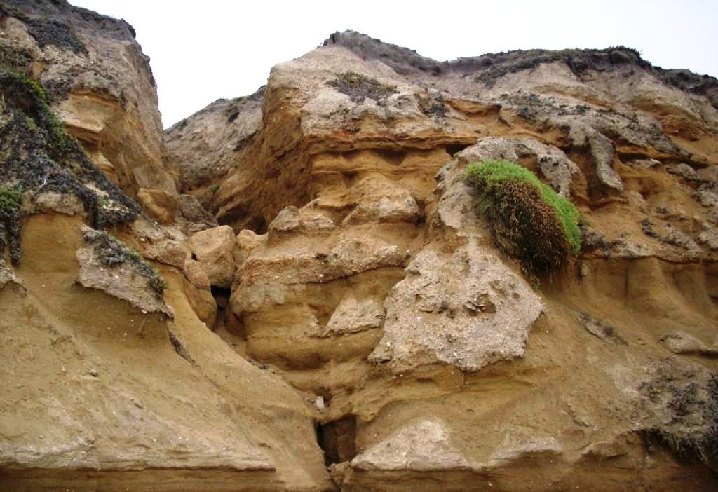 Huntington State Beach California