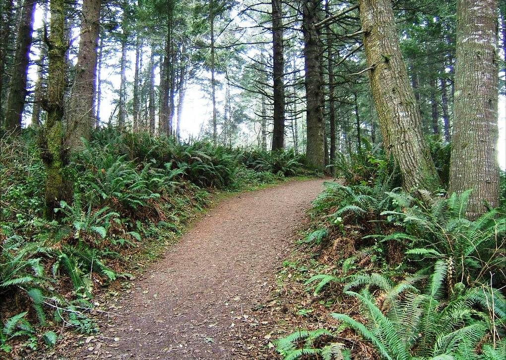 Pictures of Hiking trail in Trinidad State Beach in Trinidad, California