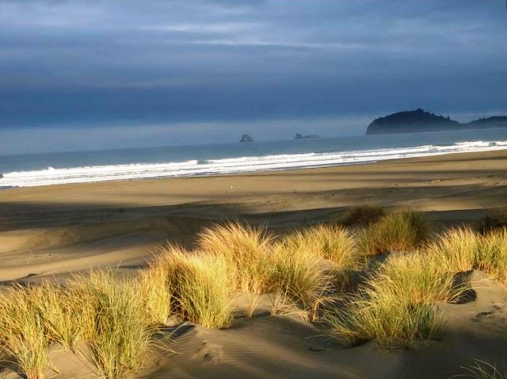 Little River State Beach Eureka, California