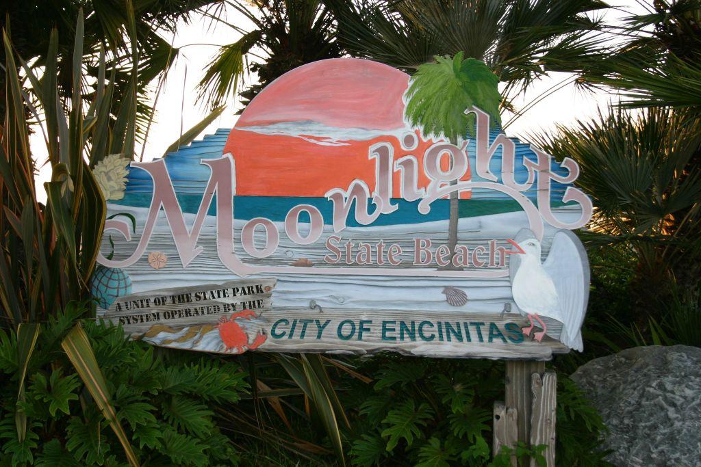 Moonlight State Beach in Encinitas, California