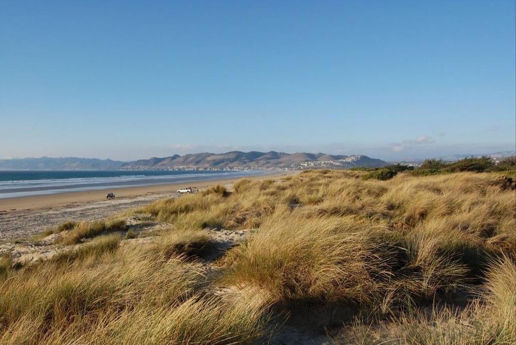 Beach and Sand Dunes in  Pismo State Beach in Oceano, California