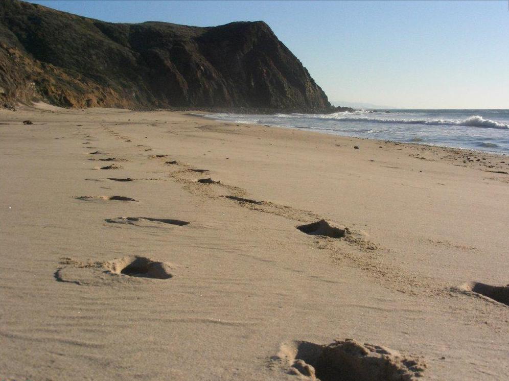 Point Sal State Beach in Guadalupe, California
