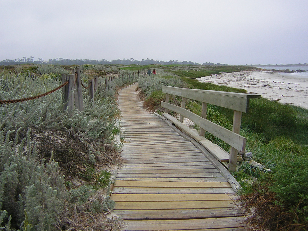 Asilomar State Beach Park in Pacific Grove, California