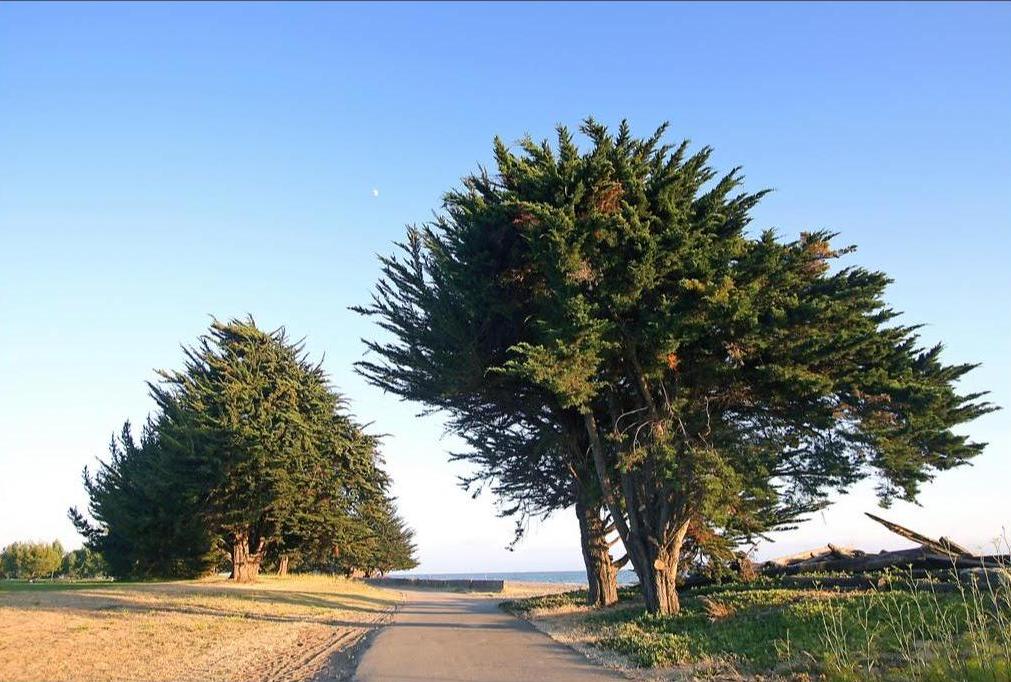 Robert Crown Memorial State Beach in Alameda, California