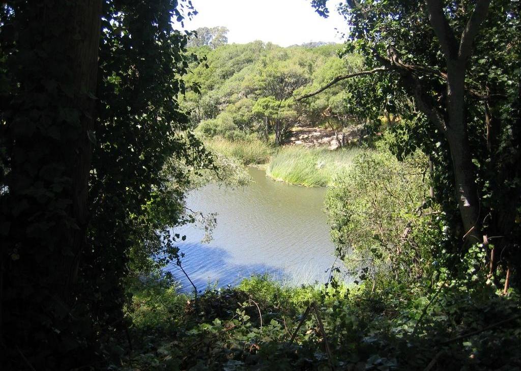 Schwan Lake near Twin Lakes State Beach in Santa Cruz, California