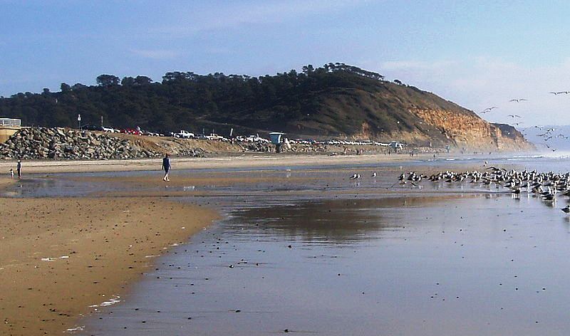 Torrey Pines State Beach in San Diego, California