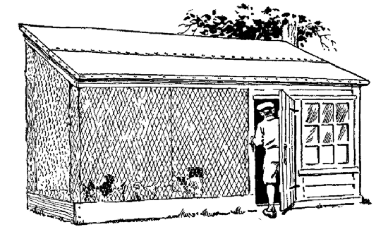 A home-made chicken coop built on the "scratching-shed"

plan