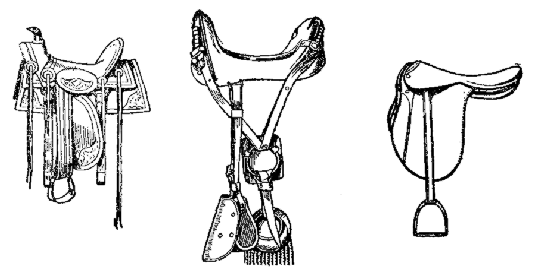 Mexican saddle, Army saddle, English saddle