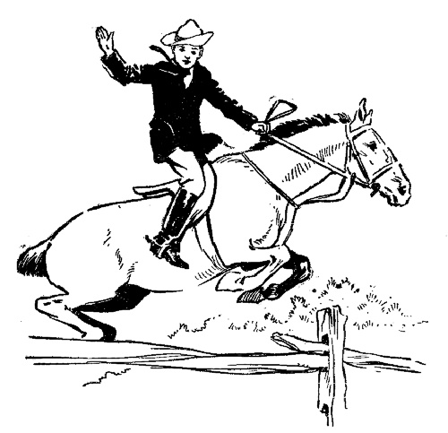 Jumping fences is the highest art of horsemanship